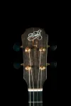 Tenor headstock